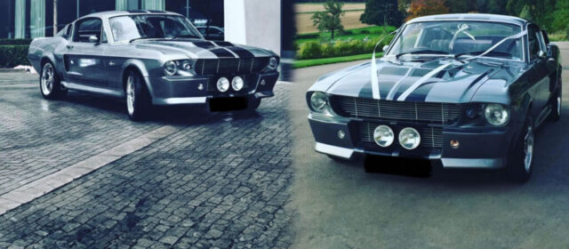 Ford Mustang GT 500 Shelby Eleanor Vip